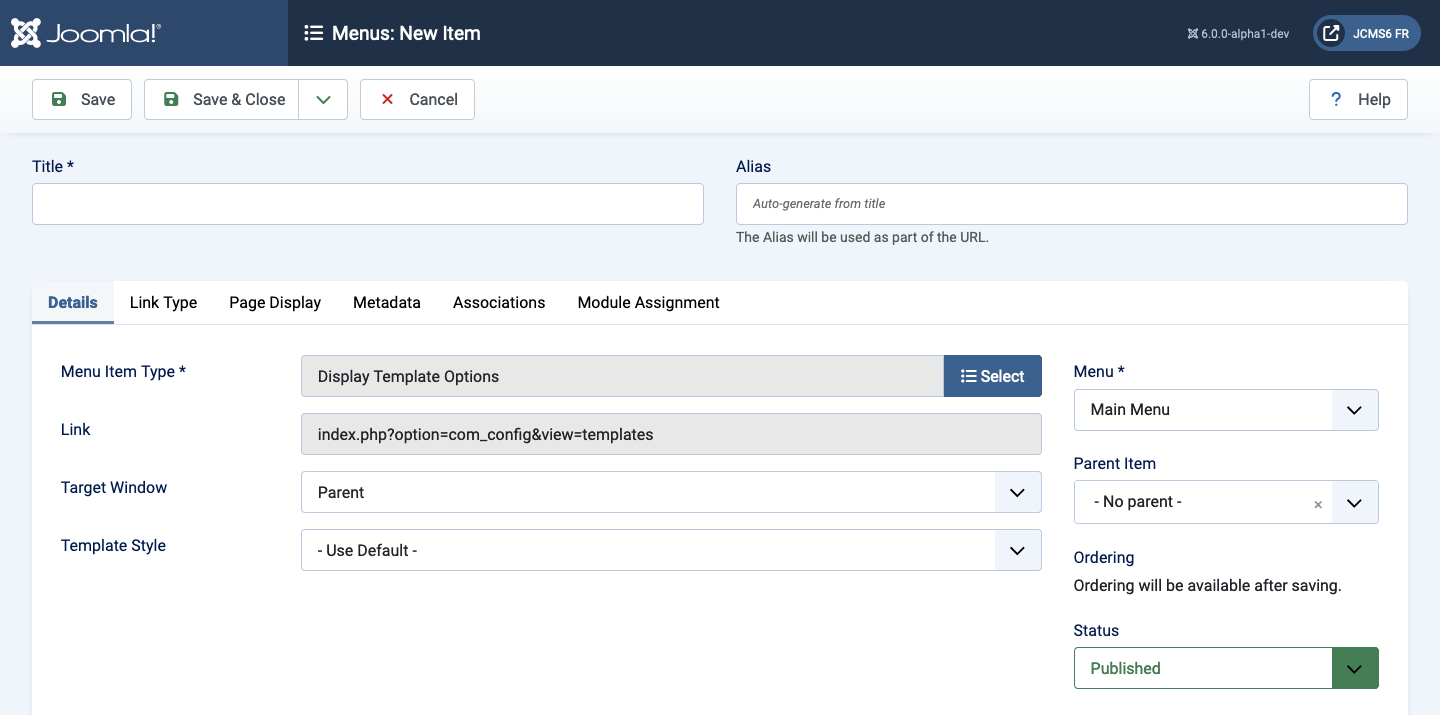 Display Template Options details tab