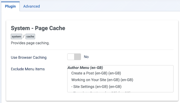 System page cache form