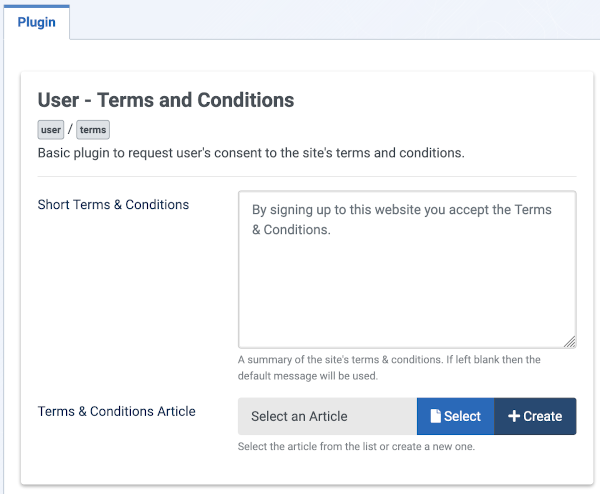 User terms and conditions form