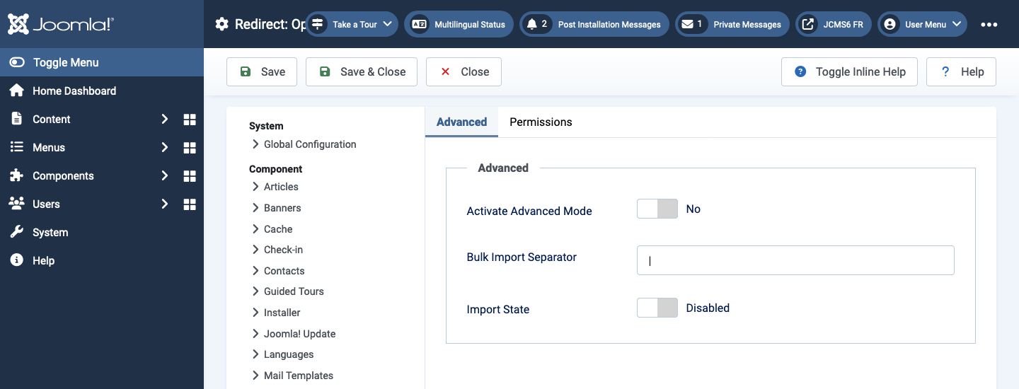 Redirect options advanced tab