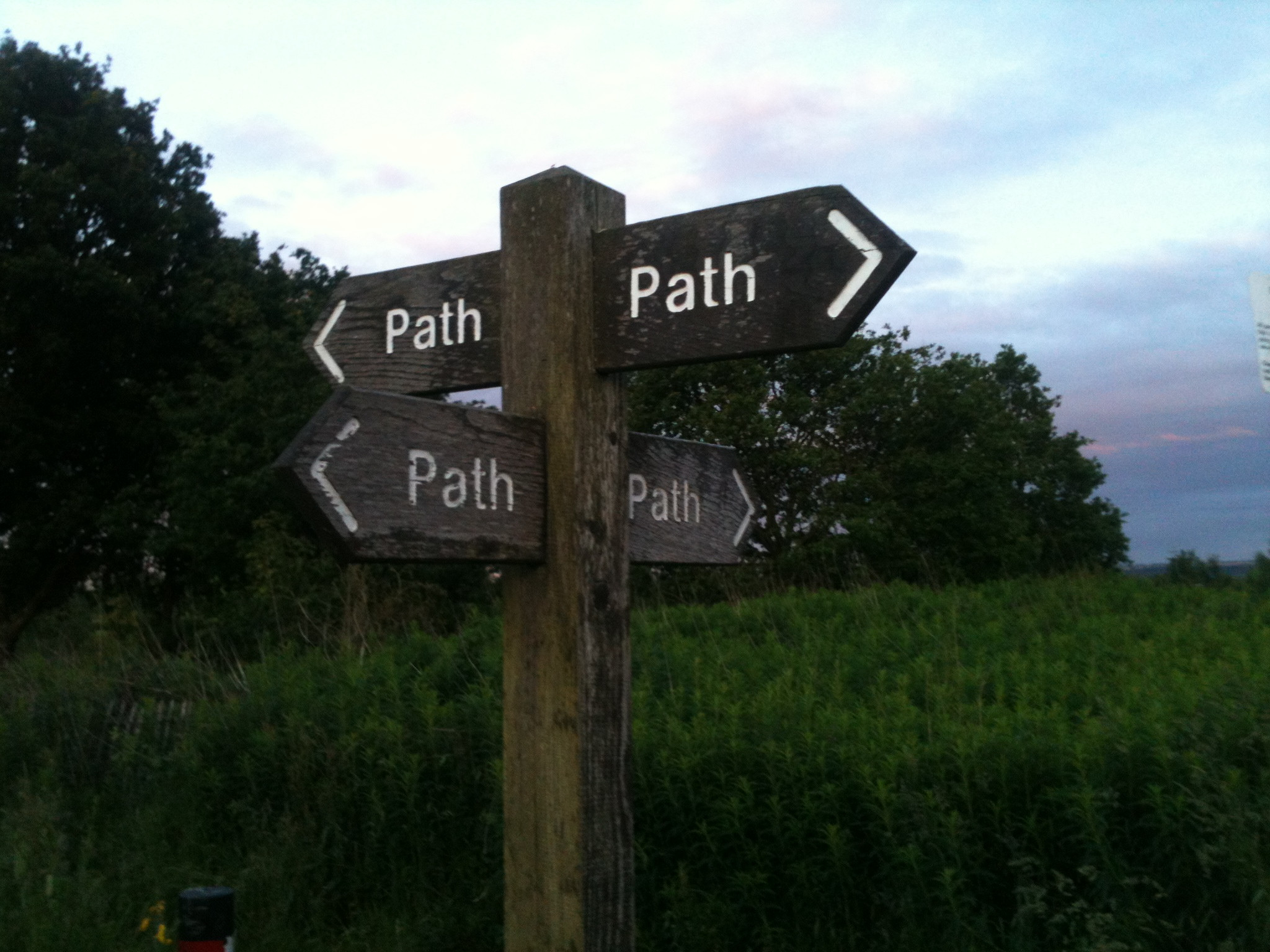 photograph of a path crossroads