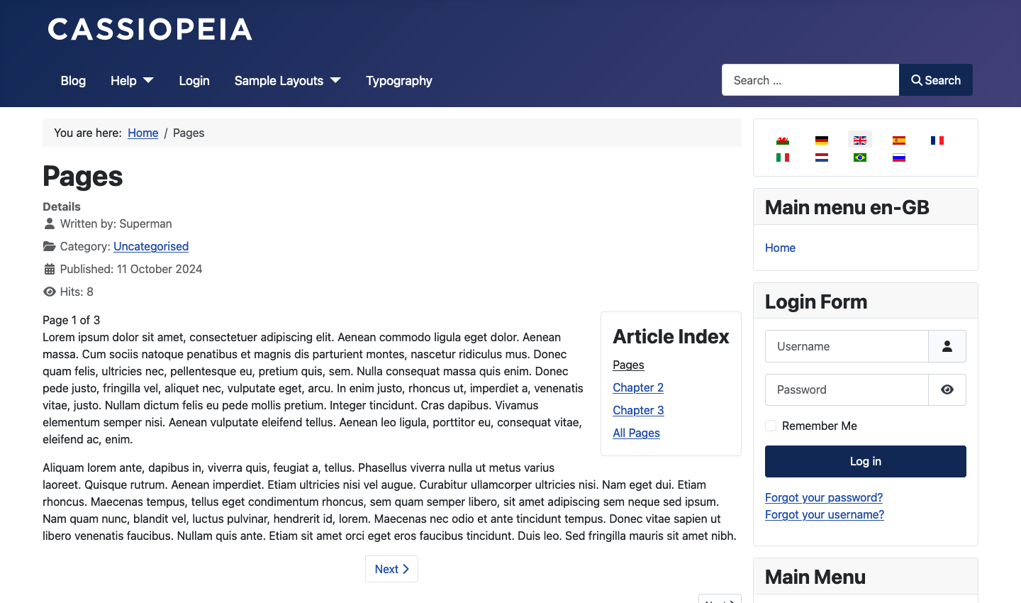 Article pagination site view