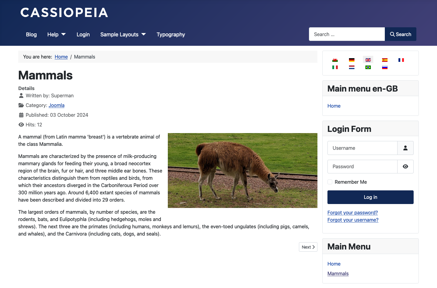 Site view of single article