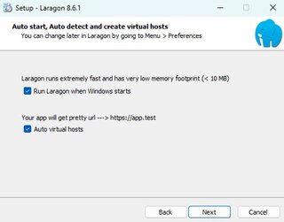 laragon setup options