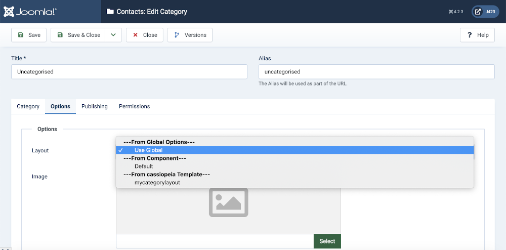 contacts component options form showing alternative layouts