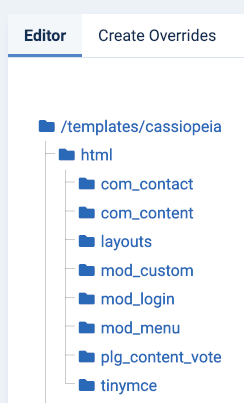 templates customise cassiopeia overrides tab