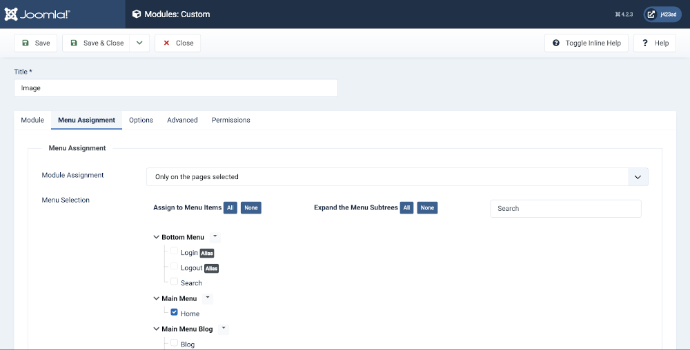 custom module menu assignment tab