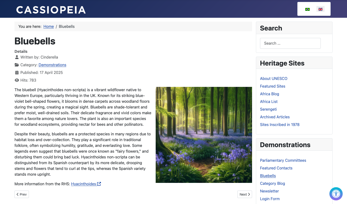 Example full article image in single article page