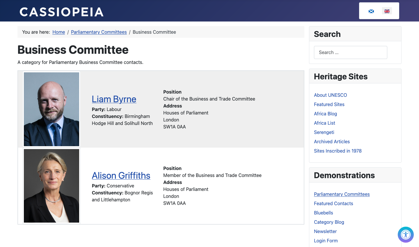 business committee using a template override and custom styles