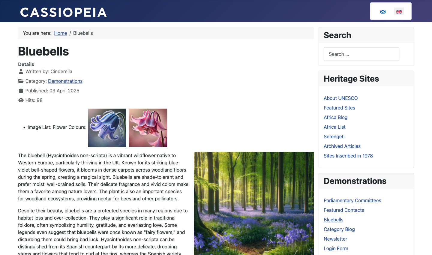 list of images site display