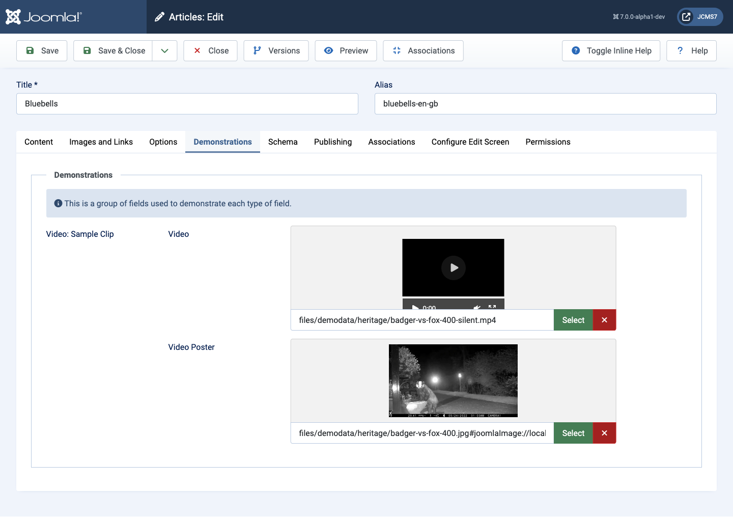 video field data entry