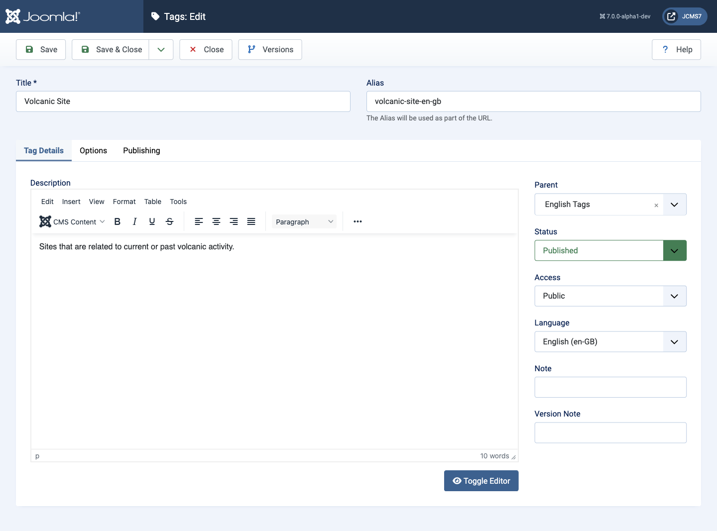tag edit form options tab showing bootstrap css classes