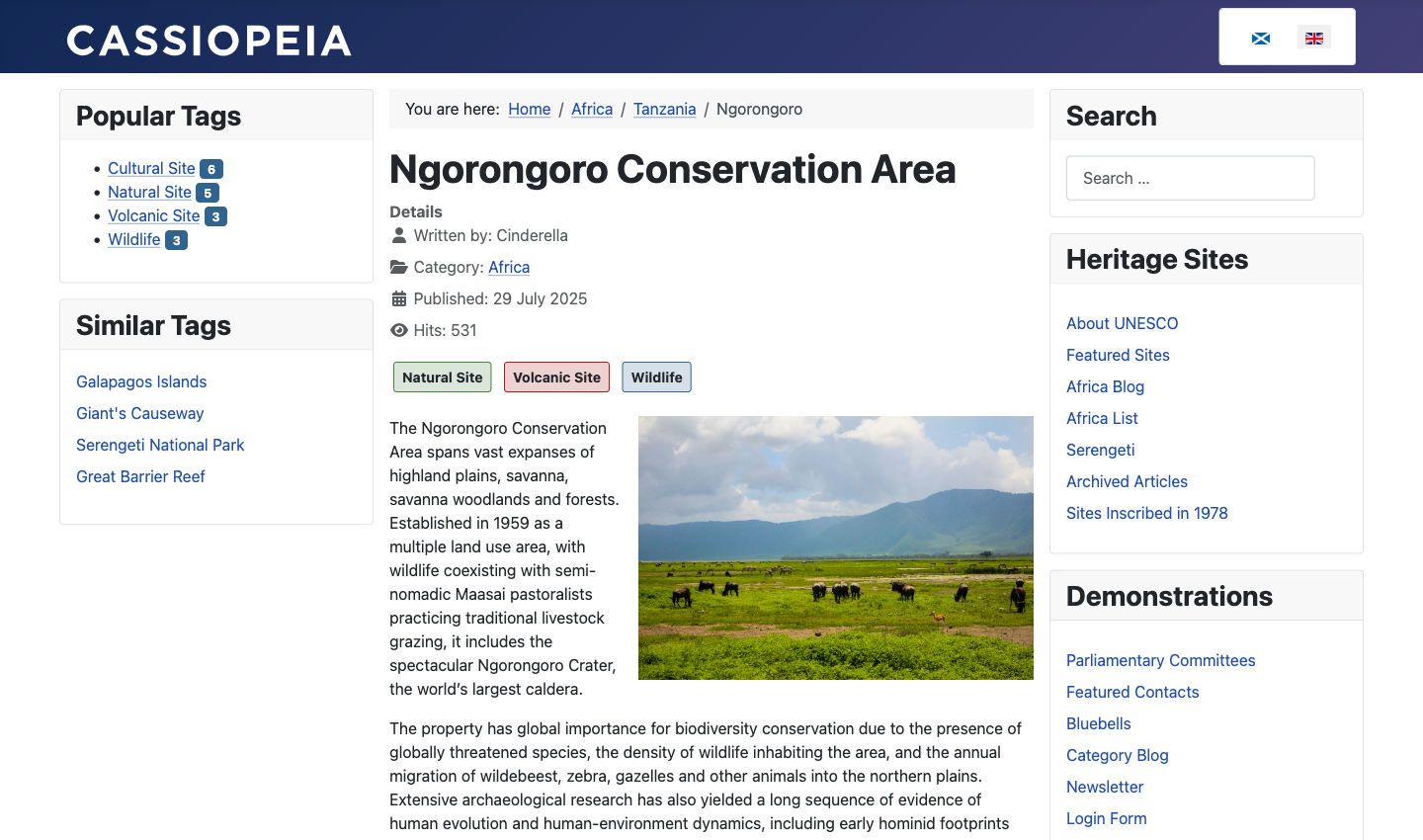 tags displayed in an article and popular tags and similar tags modules